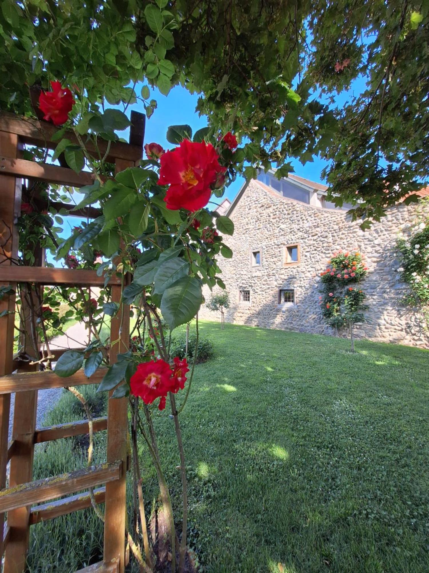Ferienwohnung Ueberblick Radolfzell am Bodensee Εξωτερικό φωτογραφία