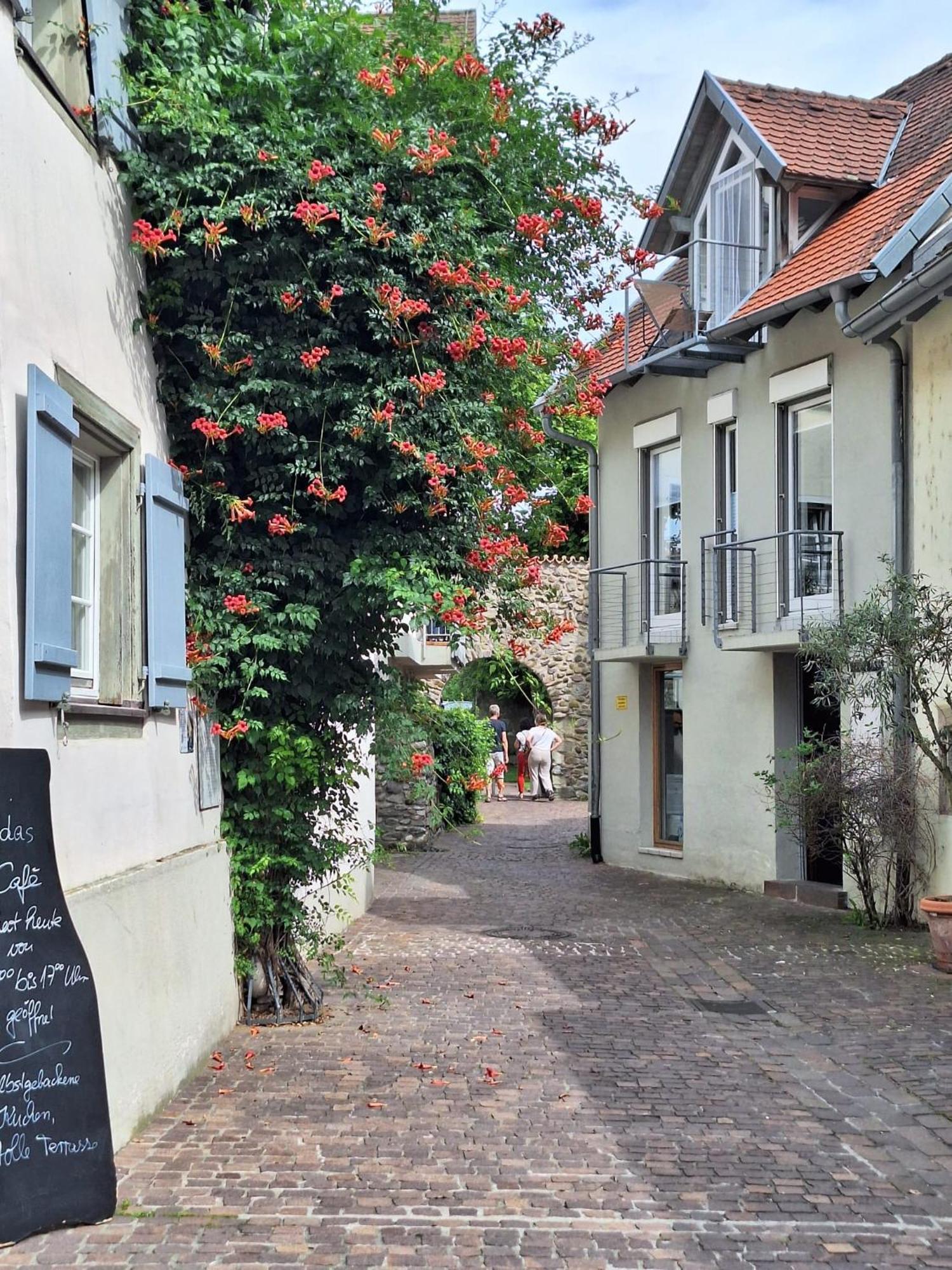 Ferienwohnung Ueberblick Radolfzell am Bodensee Εξωτερικό φωτογραφία